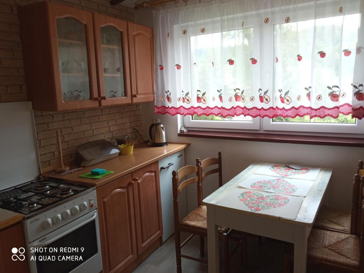 Domek I Apartamenty Stokrotka กรินีซา ดรอยจ์ ภายนอก รูปภาพ